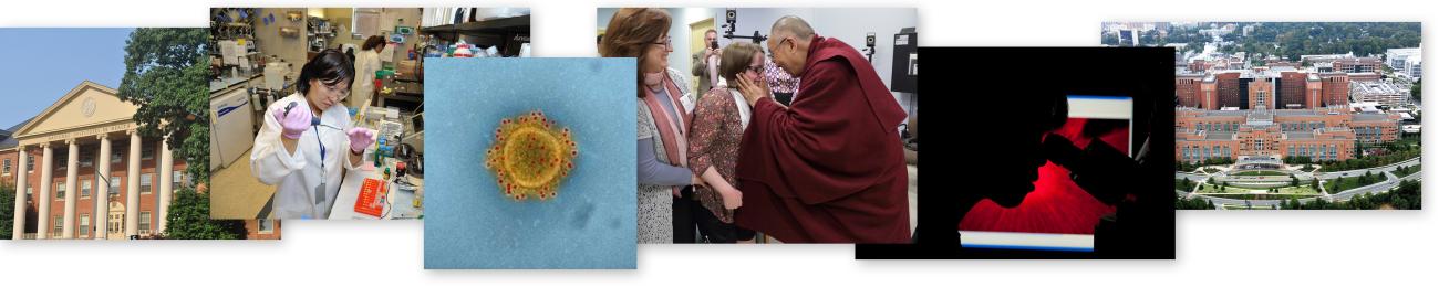 A sampling of images available on the NIH Flickr site